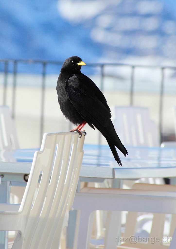 EOS 5D Mark II15_01_20120199.JPG